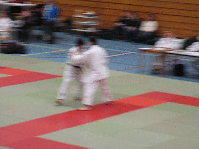 judomorote.gif